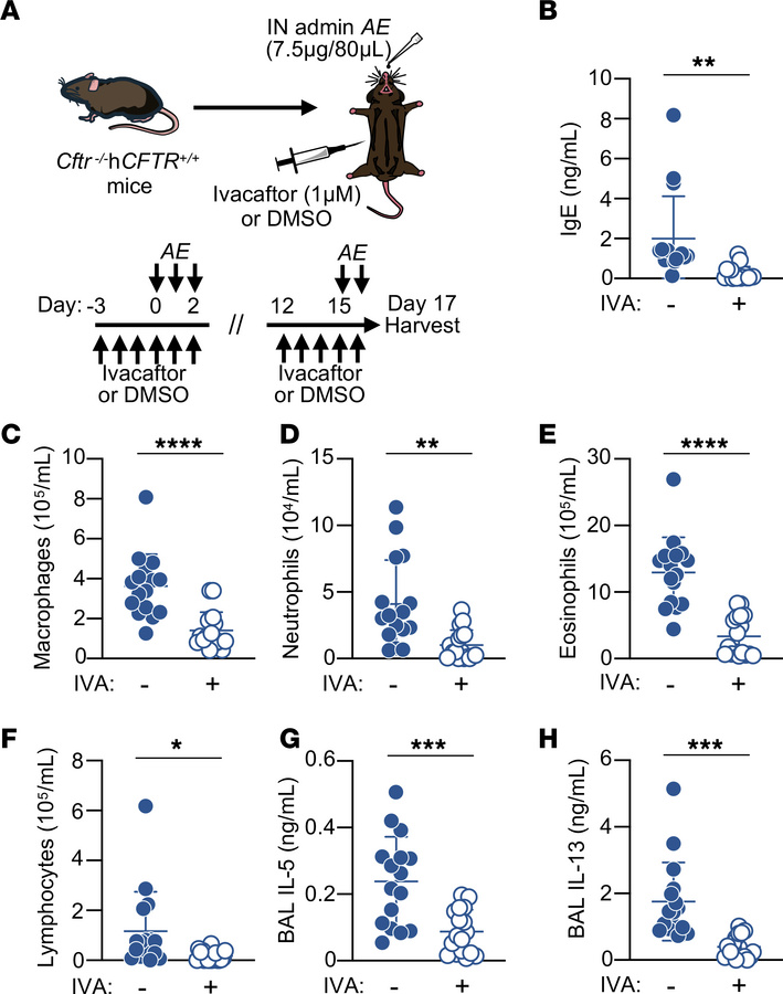 Increased CFTR function with ivacaftor decreases allergic inflammation i...