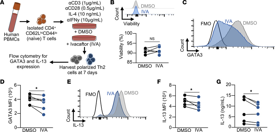 CFTR potentiation decreases Th2 GATA3 expression and IL-13 production.
(...