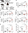 CD4+ T cell–specific CFTR deficiency increases Alternaria extract–induced (