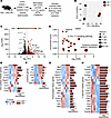 Loss of CFTR in Th2 cells increases whole transcriptome type 2 immune–speci
