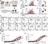 CFTR deficiency enhances IL-4 sensitivity and GATA3 expression in Th2 cells