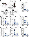Increased CFTR function with ivacaftor decreases allergic inflammation in a