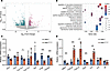Transcriptomic alterations in Helb+/D112Y ovaries.