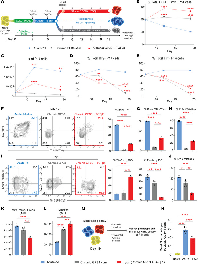 Chronic antigenic stimulation faithfully induces terminal dysfunction.
(...