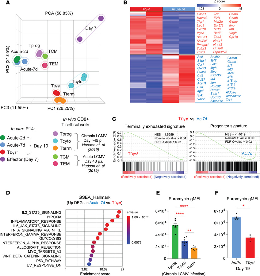 Chronic TCR plus TGF-β1 signals establish the terminal exhaustion transc...