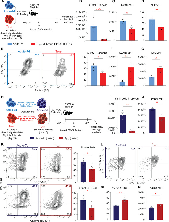 Dysfunction of in vitro–generated TDysf cells is irreversible during in ...
