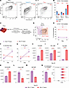 Dysfunctional CD8+ T cells recapitulate the heterogeneity of exhausted CD8+