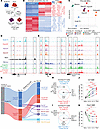 Terminal dysfunction of in vitro–generated CD8+ T cells is stabilized by ex