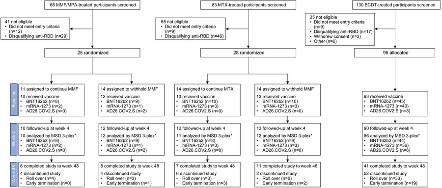 ACV01 trial profile.
MMF, mycophenolate mofetil; MPA, mycophenolic acid;...