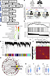 Gene expression meta-analysis and WGCNA for target prediction in CAD.