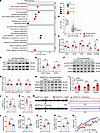 SH2D5 modulates NMDAR transcript levels via STAT1.