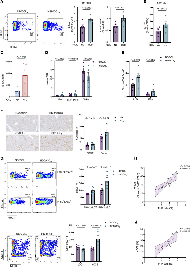 High salt diet modulates hepatic immune responses in CCl4-induced fibros...