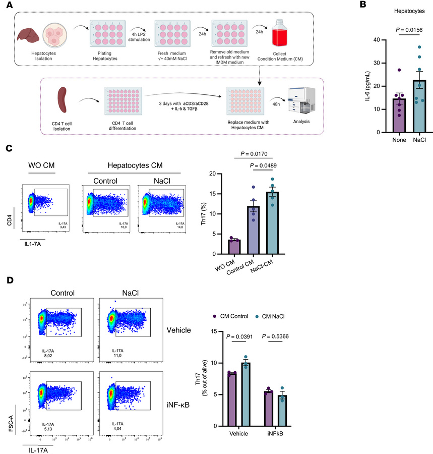 NaCl-induced hepatocyte IL-6 production promotes Th17 cell differentiati...