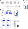 NaCl-induced hepatocyte IL-6 production promotes Th17 cell differentiation