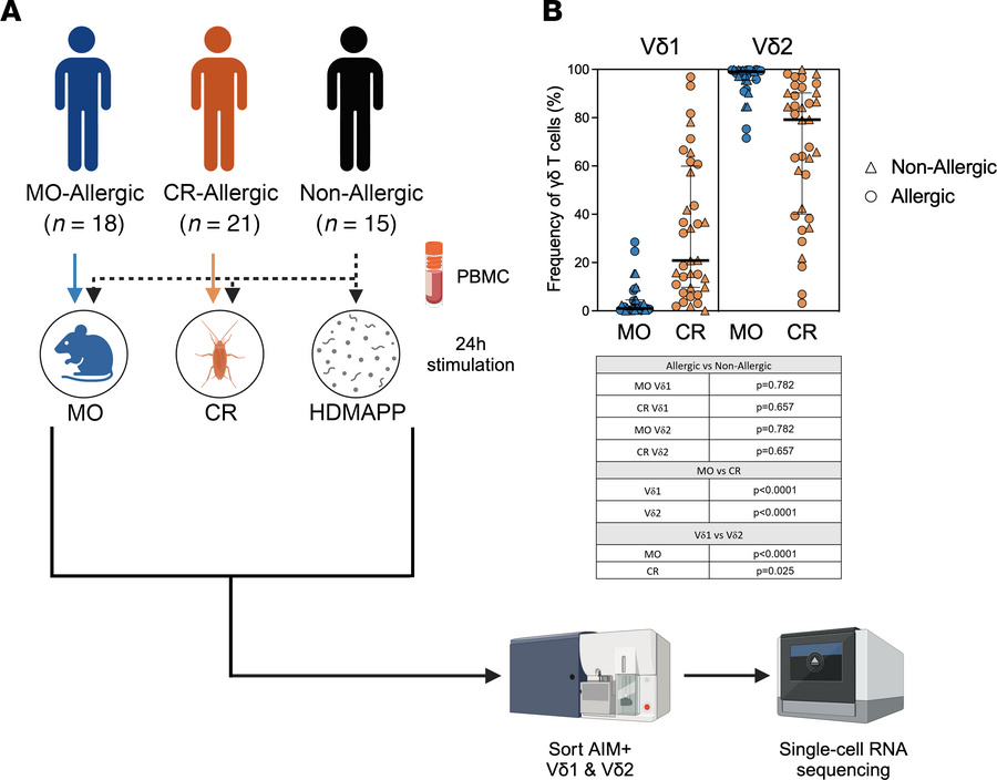 Experimental strategy.
(A) PBMCs from cockroach-allergic, mouse-allergic...