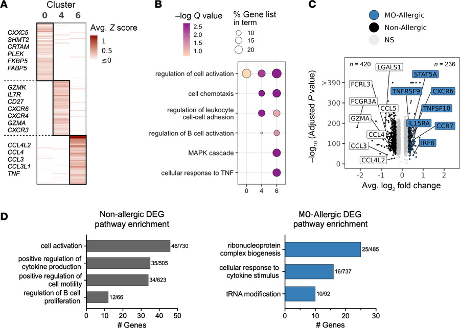 MO-specific clusters are defined by distinct cytokine production, activa...