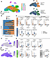 Stimulation with allergen drives clustering of scRNA-sequencing data.