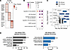MO-specific clusters are defined by distinct cytokine production, activatio