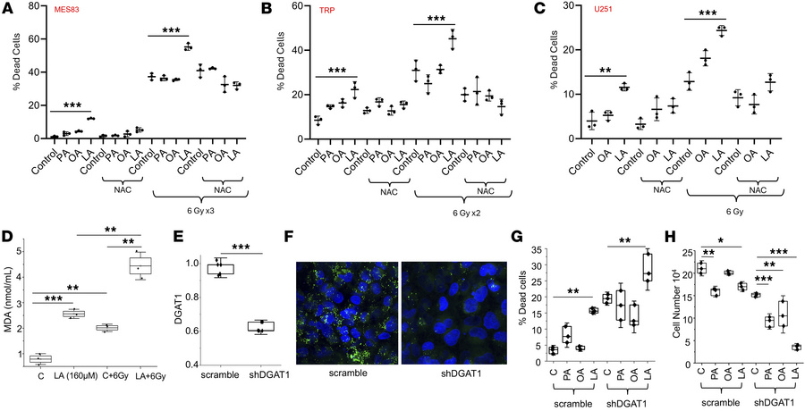 Combinatorial strategies to enhance PUFA-mediated cytotoxicity in GBM.
(...