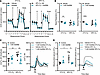 CBS stabilization via AdoMet attenuates effects of O2 on calcium signaling.