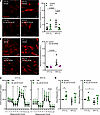 Exogenous H2S donors attenuate O2 effects on mitochondrial ROS and improve