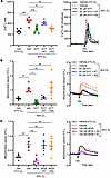 H2S attenuates O2 effects on calcium through the cAMP pathway.