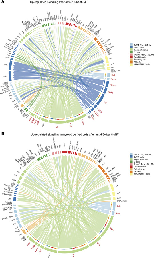 Enhanced antigen presentation and chemotactic signaling pathways upon co...