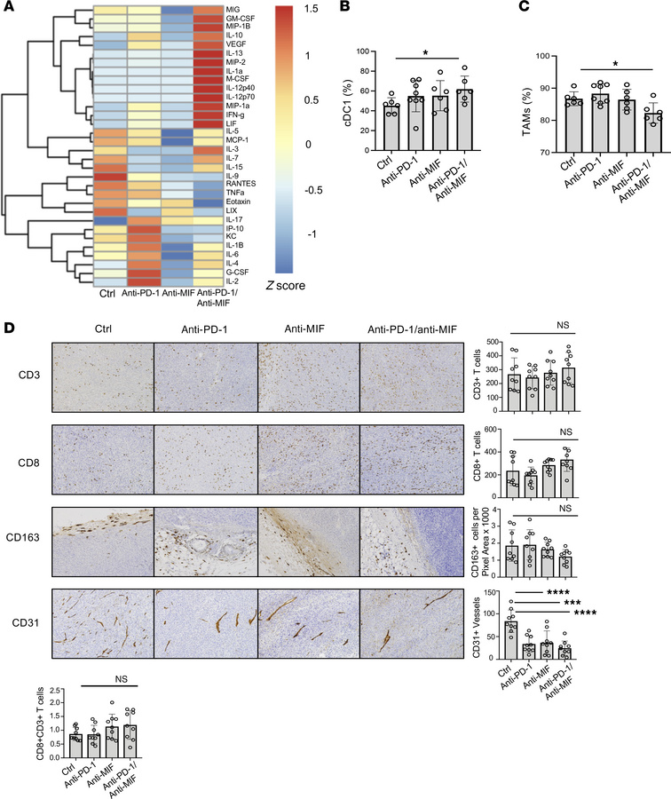 Dual inhibition of PD-1 and MIF enhances cytokines/chemokines associated...