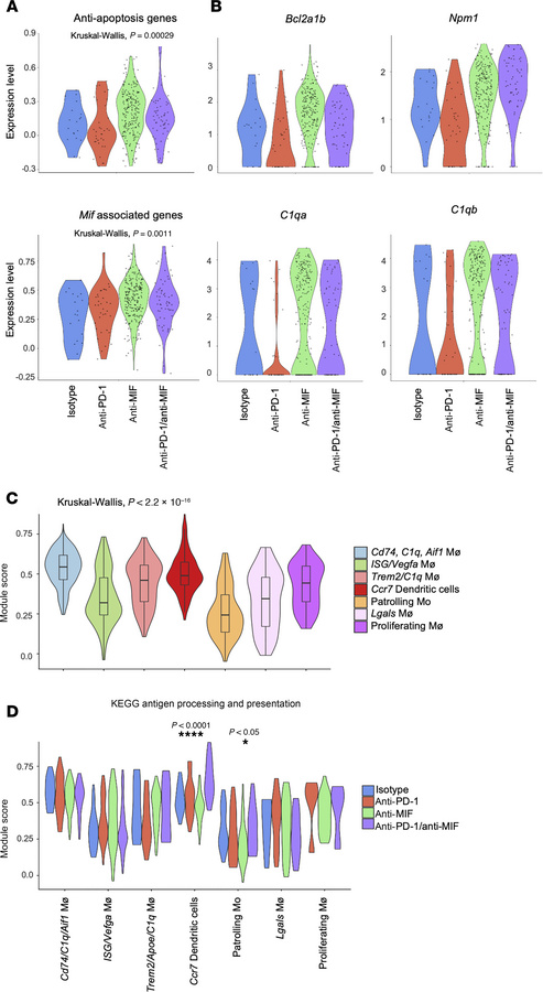 
Cd74/C1q/Aif1 macrophages exhibit pro-survival and antigen presentation...
