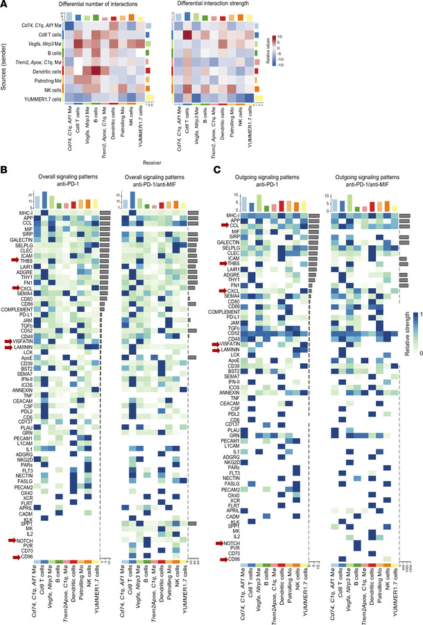Dual anti–PD-1/anti-MIF therapy increases immune cell network connectivi...