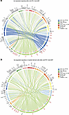 Enhanced antigen presentation and chemotactic signaling pathways upon combi