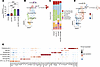 Expansion of Cd74/C1q/Aif1-expressing intratumoral macrophages in response