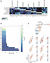 Transcription factor activity analysis of Cd74/C1q/Aif1 macrophages.