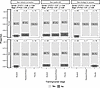 Perceived utility of symposium with respect to networking, skill building,