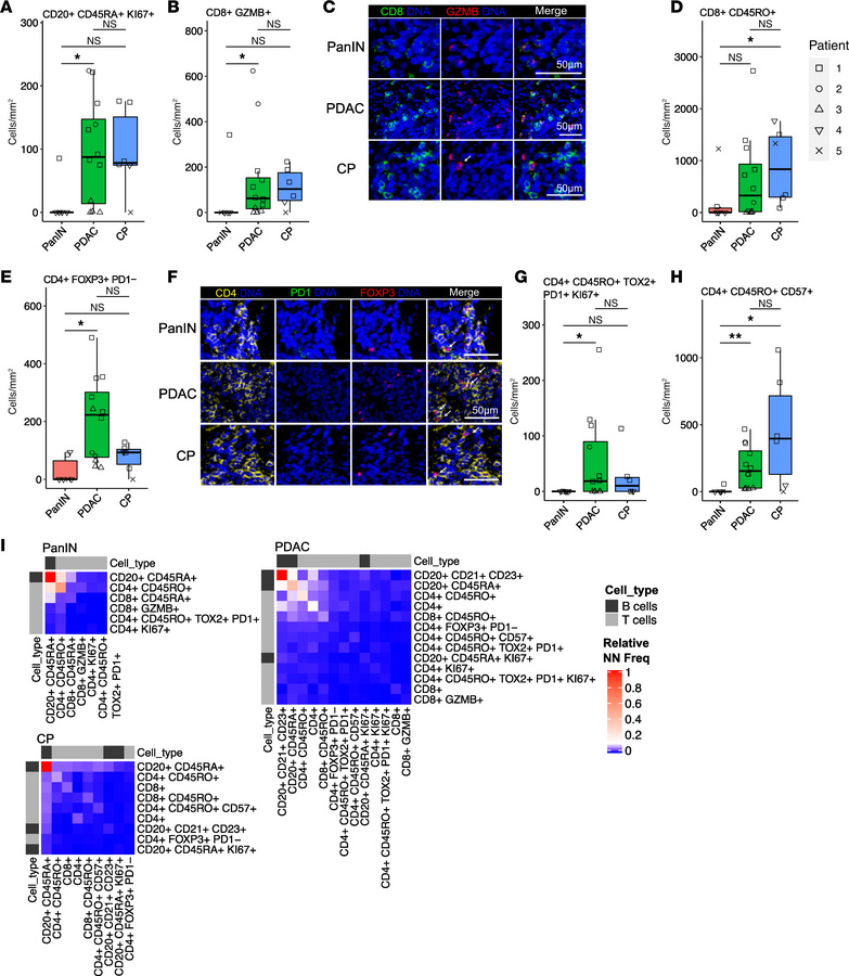 PDAC-adjacent TLSs have distinct proteomic signatures compared with TLSs...