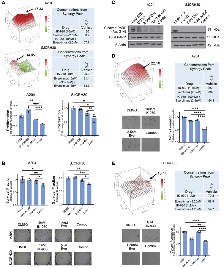 Pharmacological inhibition of YAP/TAZ and mTORC1 works synergistically i...