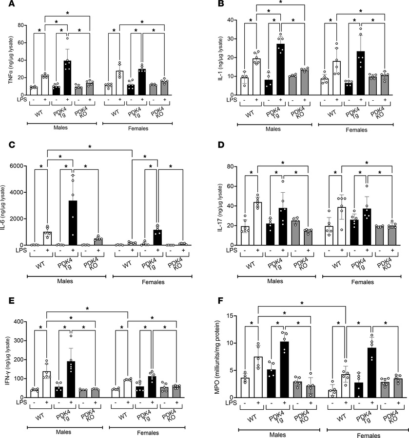 PDK4 impact on cardiac inflammation.
WT, PDK4-Tg, and PDK4-KO mice were ...