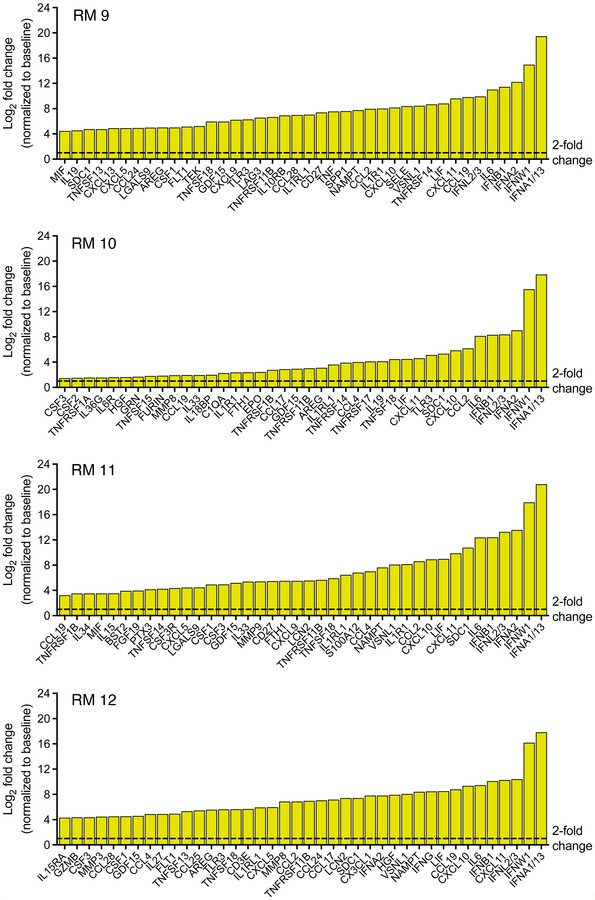 Top 40 expressed inflammatory cytokines/chemokines in untreated, YFV-Dak...