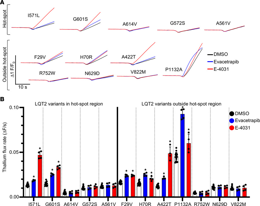 Validation of FACS trafficking assays using functional Tl+ flux.
(A) Rep...