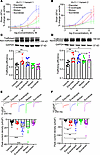 Concentration-response testing identifies top pharmacological chaperones fo