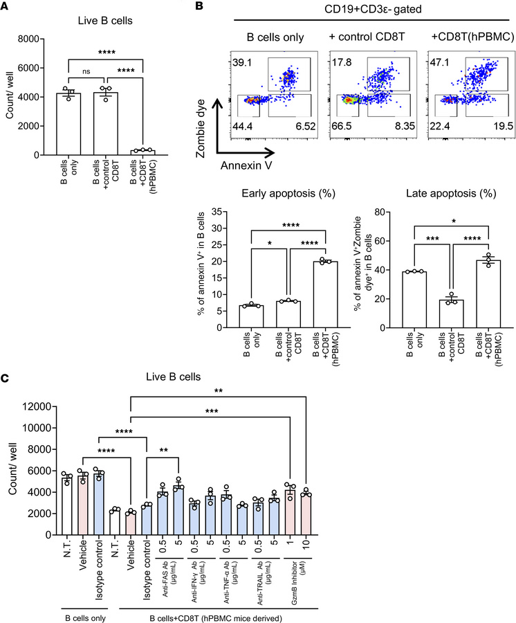CD8+ T cells of hPBMC mice directly induce B cell apoptosis.
CD8+ T cell...