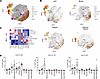 CXCL13+ Tph cell infiltration in various organs of CD8TΔPBMC mice.