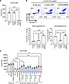 CD8+ T cells of hPBMC mice directly induce B cell apoptosis.