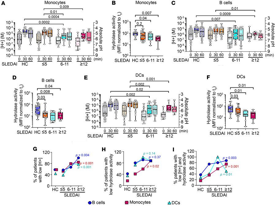 Active SLE patients show diminished LEL acidification and reduced LEL hy...