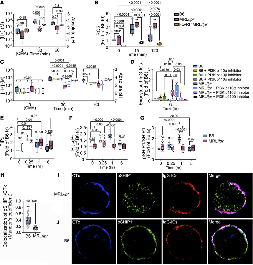 LEL defects are induced by chronic PI3K activation and SHIP-1 defects an...