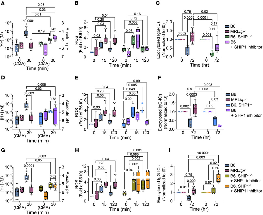 Deficiency in SHP-1 and inhibition of SHIP-1 in B6 mice phenocopy the LE...