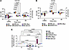 Multiple murine lupus models show diminished [H+] and exocytosis of IgG-ICs