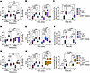 Deficiency in SHP-1 and inhibition of SHIP-1 in B6 mice phenocopy the LEL d