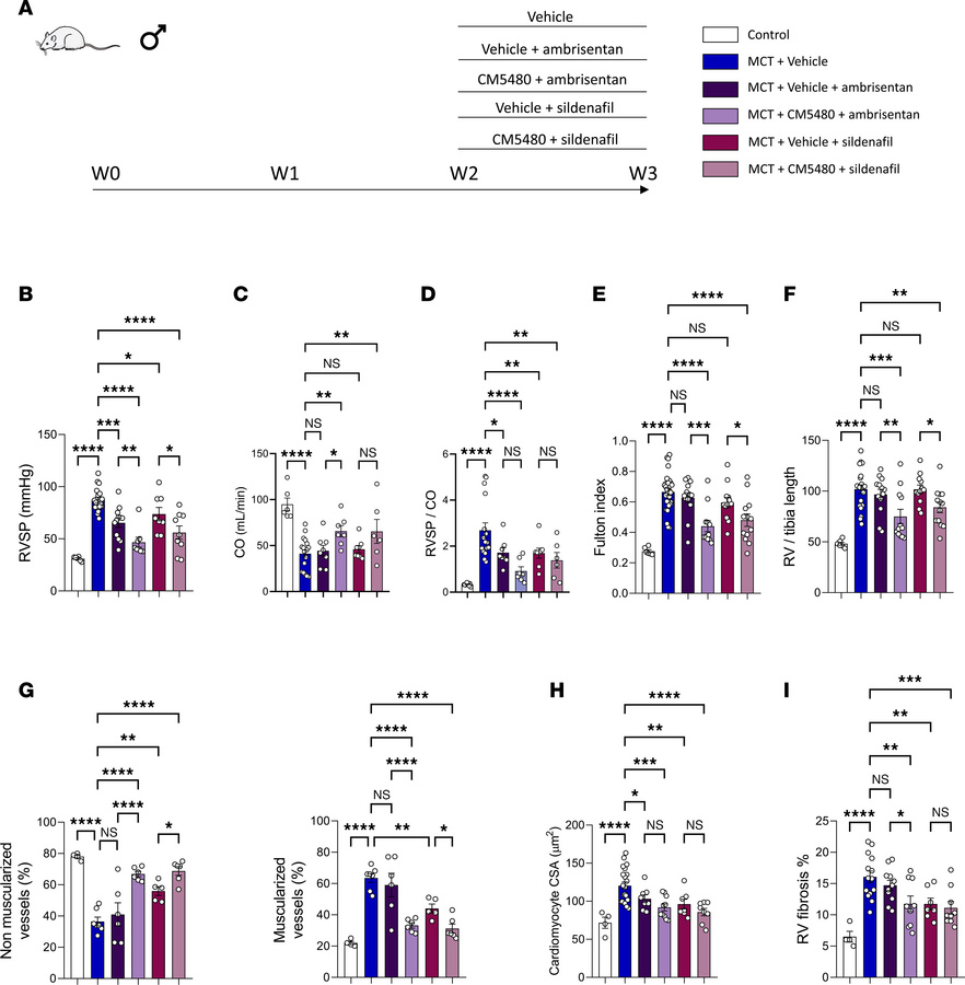 Dual therapy CM5480+sildenafil or CM5480+ambrisentan shows a better effi...