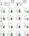 CM5480 monotherapy reduces RV remodeling and dysfunction of MCT-PAH in male